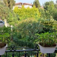 350متر-دریا-گوشه-مشارکت-کوچه-زوج-سندشاهی