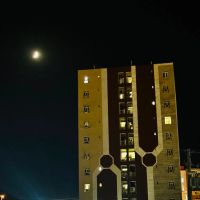 همکف-ماهور-20-گزی