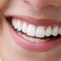 دندانپزشکی ایمپلنت کامپوزیت لمینت ترمیم و اطفال|خدمات آرایشگری و زیبایی|تهران, هروی|دیوار