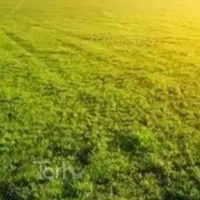 فروش-زمین-باغ-شهری-دهقاید