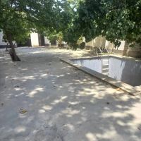 باغچه-لم-اباد-کوچه-رضوان