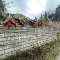 فروش-زمین-مناسب-آپارتمانسازی-با-جواز-ساخت