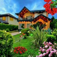 دوبلکس-طرح-چوب-کلبه-ایی-ویو360جنگل-سندتک-برگ