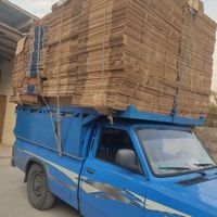 کارتن زرشک کارتون زرشکی، پریما استخوانی|عمده‌فروشی|تهران, خلیج فارس|دیوار