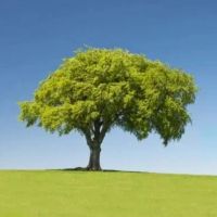 باغ-ویلا-قابل-تهاتر-در-حاشیه-جاده-سنتو