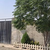 باغ-و-باغچه-آماده-ساخت