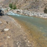 ویژه-پزشکان-و-بخش-آبزیان