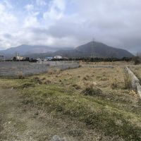 زمین-سند-تک-برگ