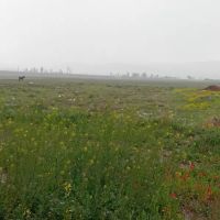 زمین-مسکونی-شهرک-جدید-هرزند-عتیق