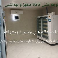 مزرعه فعال پرورش شترمرغ ( شتر مرغ )|فروش دفتر صنعتی، کشاورزی، تجاری|تهران, میدان ولیعصر|دیوار