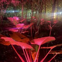 مجموعه-ای-برای-دل