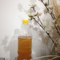 شربت سکنجبین خونگی|خوردنی و آشامیدنی|نیشابور, |دیوار