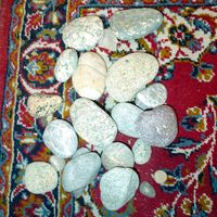 سنگ رودخانه ای|گل و گیاه طبیعی|تهران, باغ فیض|دیوار