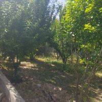 باغچه-به-متراژ-215متر