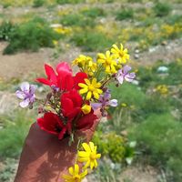 همایش ‌کوهنوردی ‌شاهچهان|کوهنوردی و کمپینگ|تهران, سبلان|دیوار