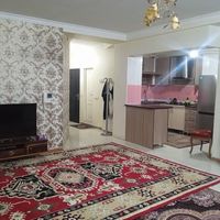 آپارتمان شصت متری کوچه خلوت و دنج|فروش آپارتمان|تهران, مهرآباد جنوبی|دیوار