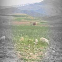 یازده هزار متر زمین وسهم آب از چاه کشاورزی|فروش دفتر صنعتی، کشاورزی، تجاری|خرم‌آباد, |دیوار
