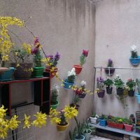 آپارتمان122متری-شاهین-ویلا