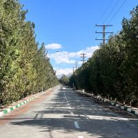 فروش-یا-تهاتر-باغ-ویلا-با-مغازه-یا-آپارتمان