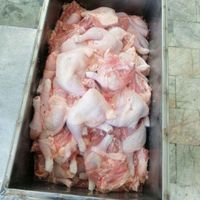 مرغ کشتار روز و منجمد و قطعه بندی و آلایشات|عمده‌فروشی|تهران, سازمان برنامه|دیوار