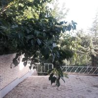 باغ-ویلامبله-کوهساران-طرقبه