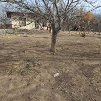 ویلا-و-دامداری-قیمت-توافقی