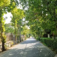 800متر-زمین-سند-6دانگ-بدون-ریشه