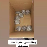 باربری حمل بار کارگر خالی اسباب کشی در تمام تهران|خدمات حمل و نقل|تهران, پیروزی|دیوار