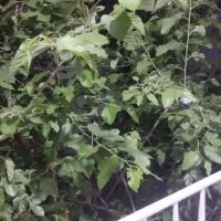 اجاره-خونه-ویلایی-از-یک-روز-تا-یک-ماه