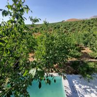 فروش زمین ۱۱۰۰ متری در سامان طرح امام علی|فروش زمین و ملک کلنگی|اصفهان, ماشاده|دیوار