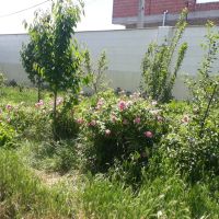 سوله-بهداشتی-صنعتی