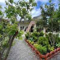 ویلا-باغ-پلاک-جنگل-با-سند-و-پروانه-ساخت