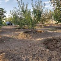 باغ-و-باغچه-280-متری-سهیلیه