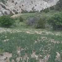 فروش-زمین-مسکونی-تجاری