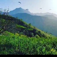 ویلاباصفاشمدونی دررامیان روستای سرسبزقورچای|اجارهٔ کوتاه‌مدت ویلا و باغ|رامیان, |دیوار