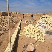 فروش زمین دانه سا|فروش زمین و ملک کلنگی|یزد, |دیوار