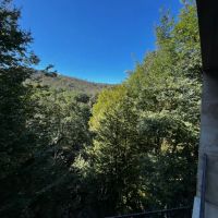 خانه-ویلایی-اجاره-برای-مهدکودک-و