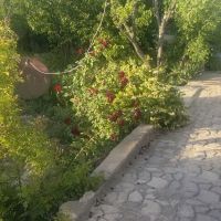 باغ-ویلا-فروشی
