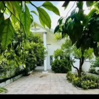 ویلانیم-پیلوت-مدرن-حیاط-مشجر-شهرکی-سنددار