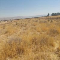 زمین-1200-متری-قلعه-دودمان