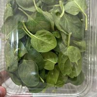 سبزیجات مدیترانه ای و انواع قارچ|خوردنی و آشامیدنی|تهران, جردن|دیوار