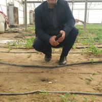 فروش-سیرسبز