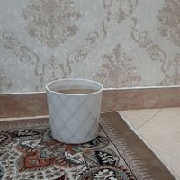 گلدان مخصوص گل طبیعی گلدان و تنگ  شیشه ای|گل و گیاه طبیعی|تهران, پیروزی|دیوار