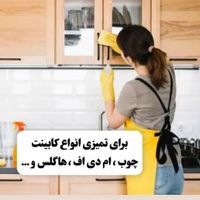 لینکس وایتکس گیاهی|مواد شوینده و دستمال کاغذی|تهران, تهران‌سر|دیوار