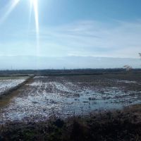 فروش-7000متر-زمین