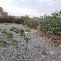 ملک-در-یزداباد