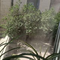 فروش آپارتمان ۷۰ متری در ورزی شمالی|فروش آپارتمان|تهران, شهرک پرواز|دیوار