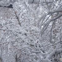 یک-قطعه-زمین