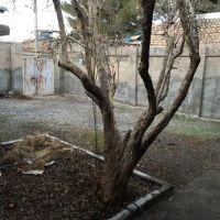 ملک-تقریبا-کلنگی-و-یک-زمین