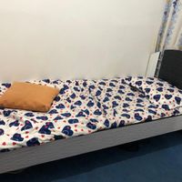 تخت کتابخانه کمد|تخت و سرویس خواب|مشهد, کشاورز|دیوار